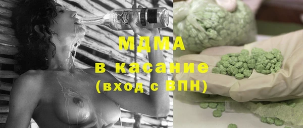 шишки Белокуриха