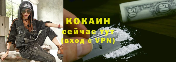 прущие грибы Баксан