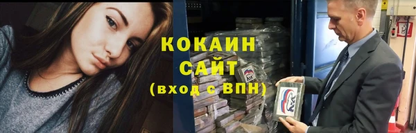 прущие грибы Баксан