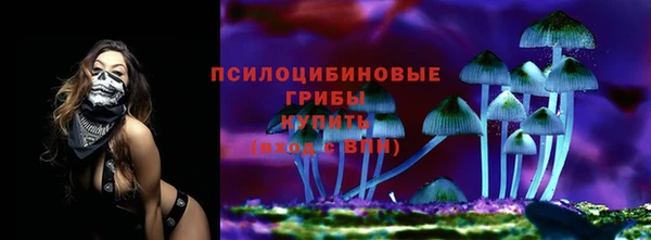 каннабис Беломорск