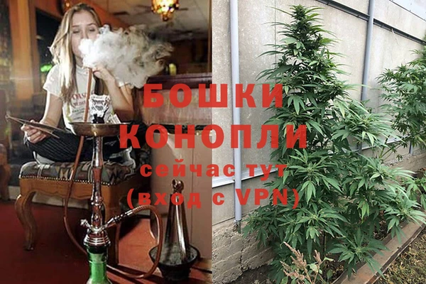 прущие грибы Баксан