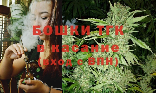 шишки Белокуриха