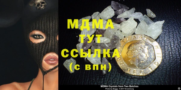 шишки Белокуриха