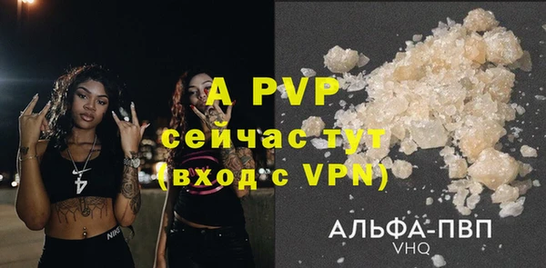 шишки Белокуриха
