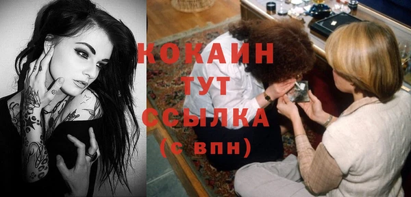 прущие грибы Баксан