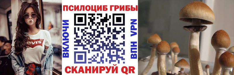 Псилоцибиновые грибы ЛСД  Заозёрск 